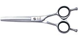 6129 Joewell E40 55"